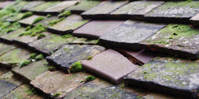 St Brides Netherwent roof repair costs